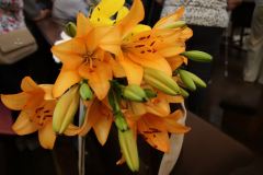 IMG_8757_1024x683
