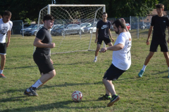 DSC_0202_1024x683