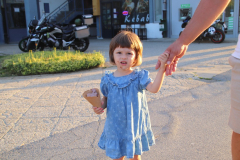 IMG_3653_1024x683