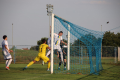 IMG_7131_1024x683