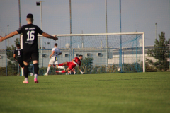IMG_7143_1024x683