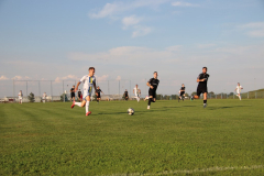 IMG_7149_1024x683