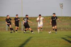 IMG_7197_1024x683