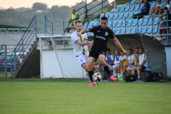 IMG_7255_1024x683