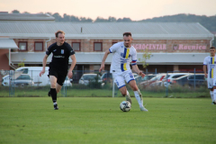 IMG_7258_1024x683