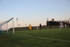 IMG_7269_1024x683