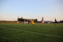 IMG_7324_1024x683