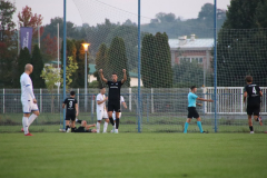 IMG_7385_1024x683