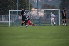 IMG_7388_1024x683