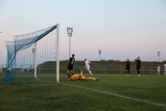 IMG_7406_1024x683