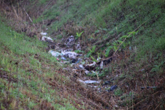 IMG_4111_1024x683