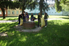 IMG_1360_1024x768