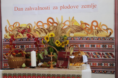 IMG_4095_1024x683