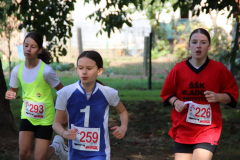IMG_1380_1024x683