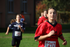 IMG_1391_1024x683