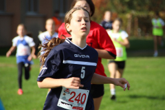 IMG_1392_1024x683