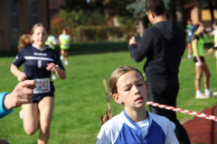 IMG_1395_1024x683