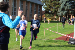 IMG_1399_1024x683