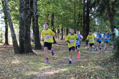 IMG_1407_1024x683