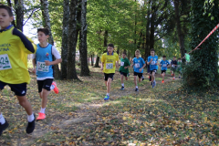 IMG_1409_1024x683