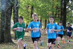 IMG_1410_1024x683