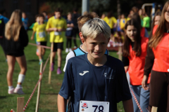 IMG_1431_1024x683