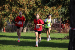 IMG_1444_1024x683