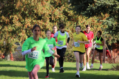 IMG_1448_1024x683