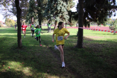 IMG_1451_1024x683