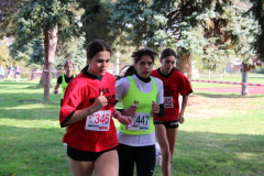 IMG_1454_1024x683