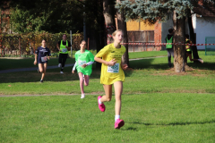 IMG_1474_1024x683