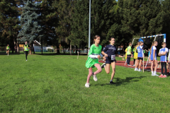 IMG_1475_1024x683