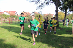 IMG_1497_1024x683