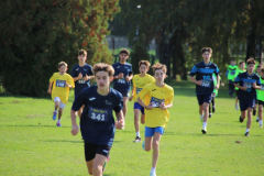 IMG_1514_1024x683