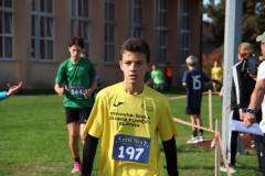 IMG_1521_1024x683