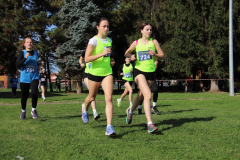 IMG_1534_1024x683