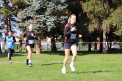 IMG_1535_1024x683