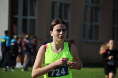 IMG_1553_1024x683