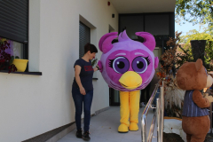 IMG_1814_1024x666