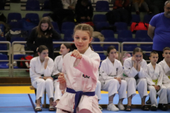 IMG_8381_1024x683
