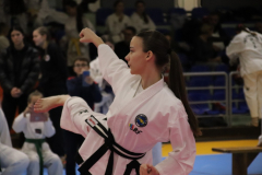 IMG_8411_1024x683