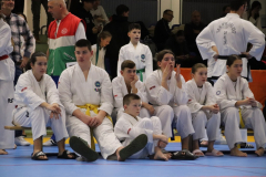 IMG_8438_1024x683