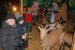 IMG_7275_1024x683