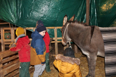 IMG_7276_1024x683