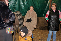 IMG_7278_1024x683