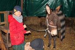 IMG_7280_1024x683