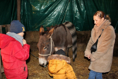 IMG_7282_1024x683