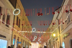 viber_slika_2025-12-14_17-56-27-942_576x768