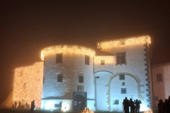 viber_slika_2025-12-14_17-56-28-152_576x768