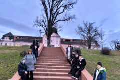 viber_slika_2026-02-14_09-56-25-461_576x768